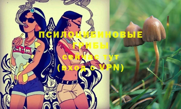 прущий лед Кодинск